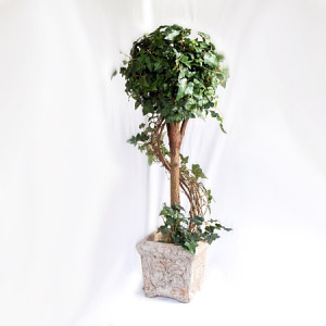 Small Square Cement Pot - Artificial Trees/Floor Plants - small cement planters for rent